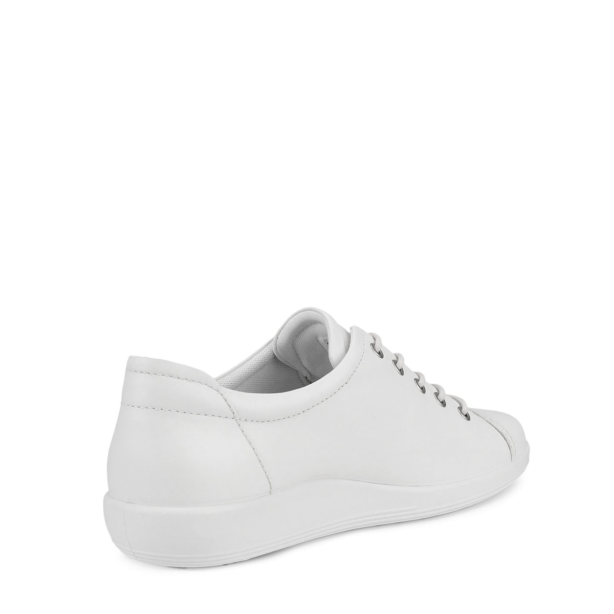 Sneacker Lacci Ecco 206503