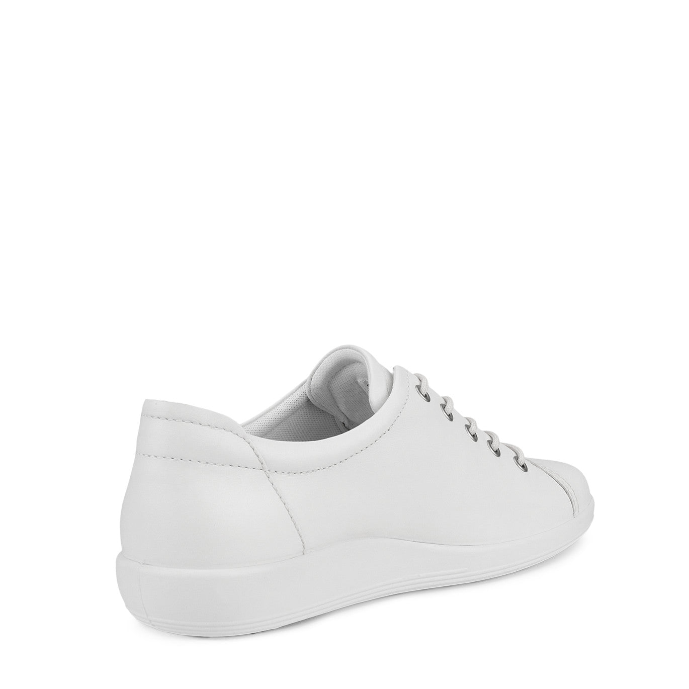 Sneacker Lacci Ecco 206503