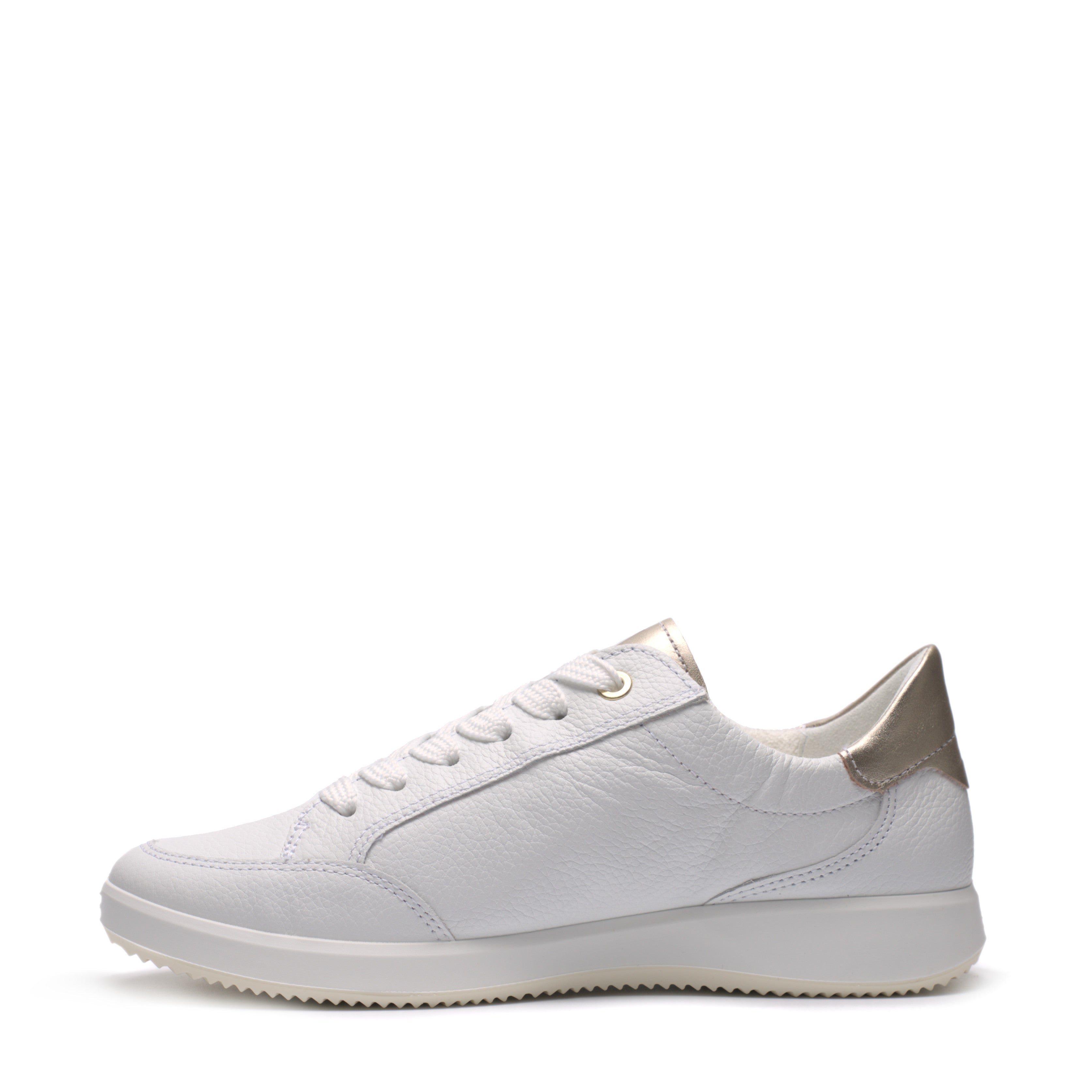 Scarpa Lacci + Zip S.Gomma Ara 23901