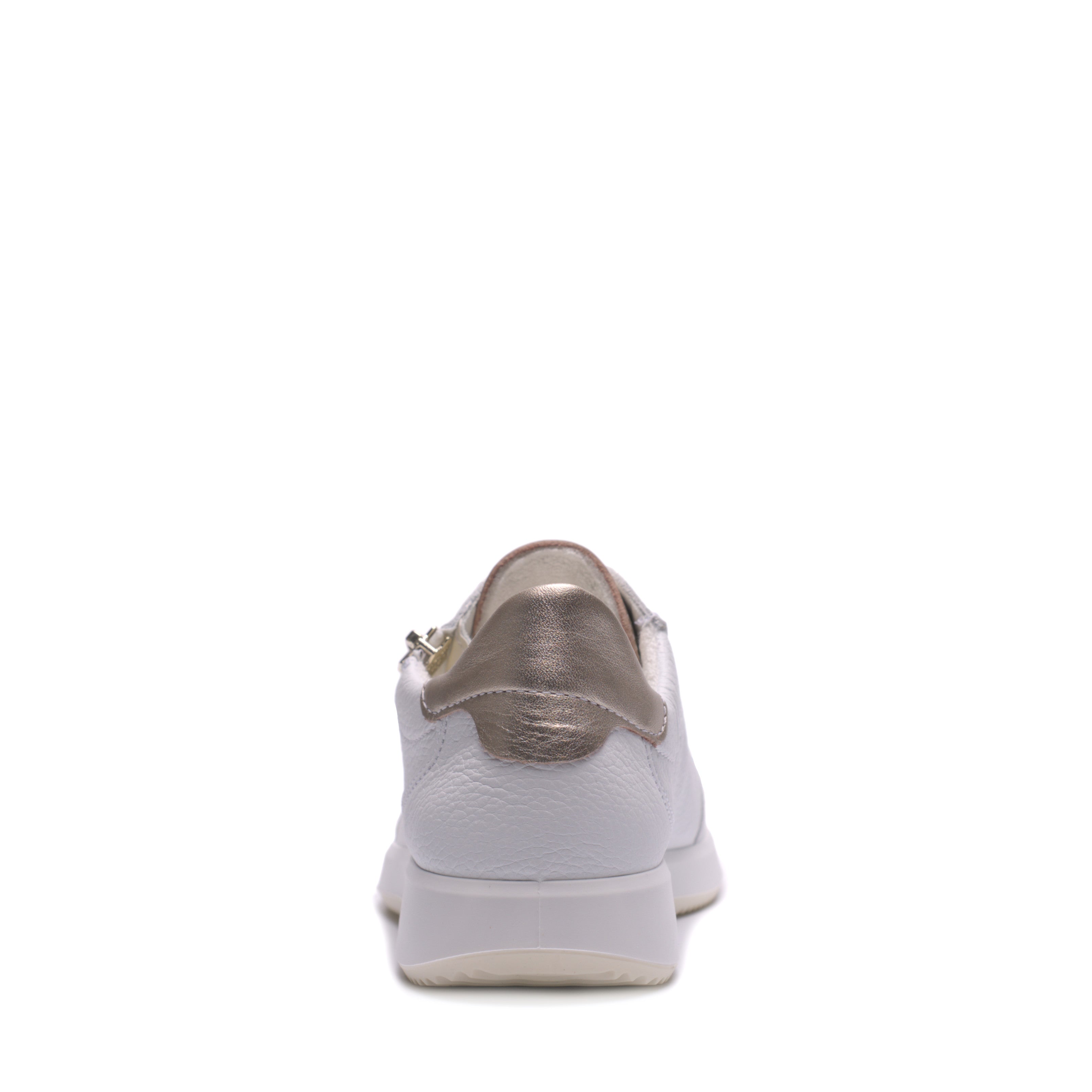 Scarpa Lacci + Zip S.Gomma Ara 23901