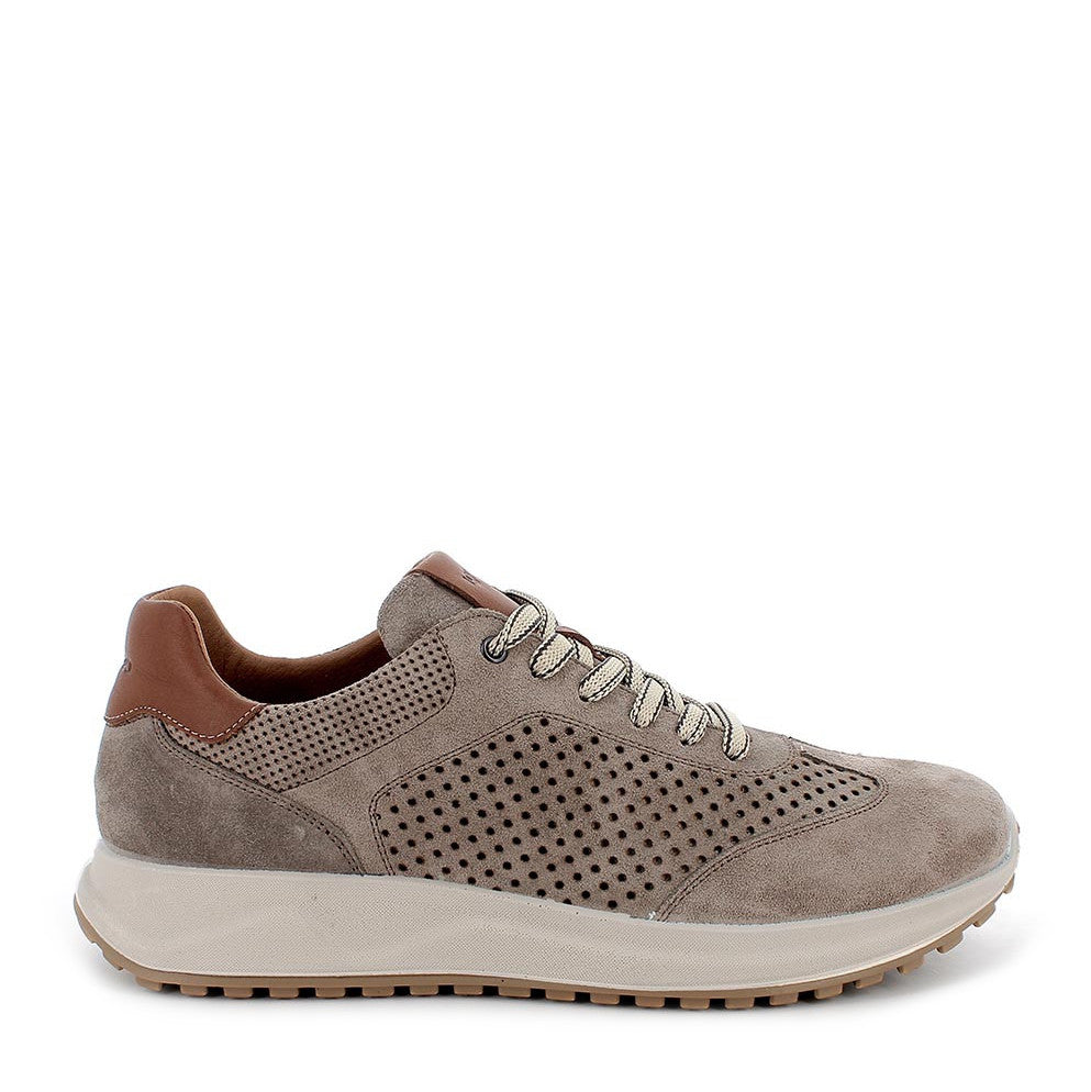Scarpa Lacci S.Gomma Igi & Co 11183
