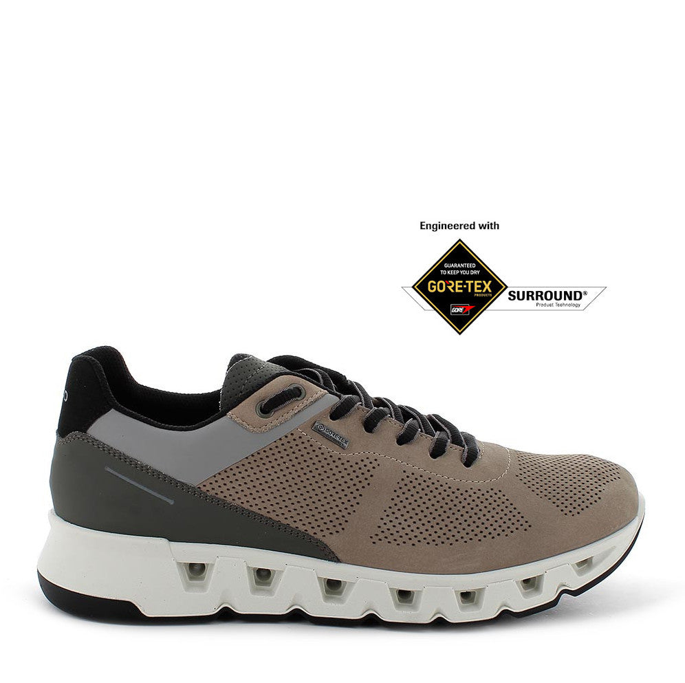 Scarpa Lacci Surround Igi & Co 76394