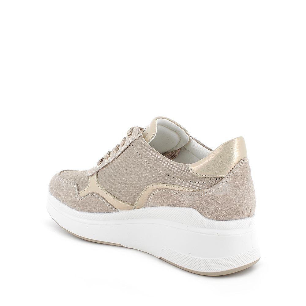 Scarpa Lacci + Zip Con Zeppa Igi & Co 76532