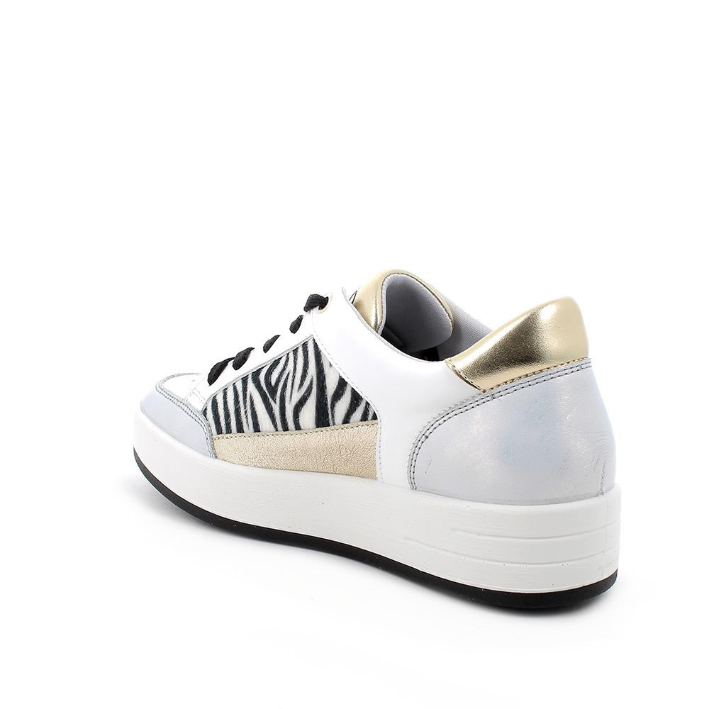 Scarpa Lacci S.Gomma Igi & Co 76551