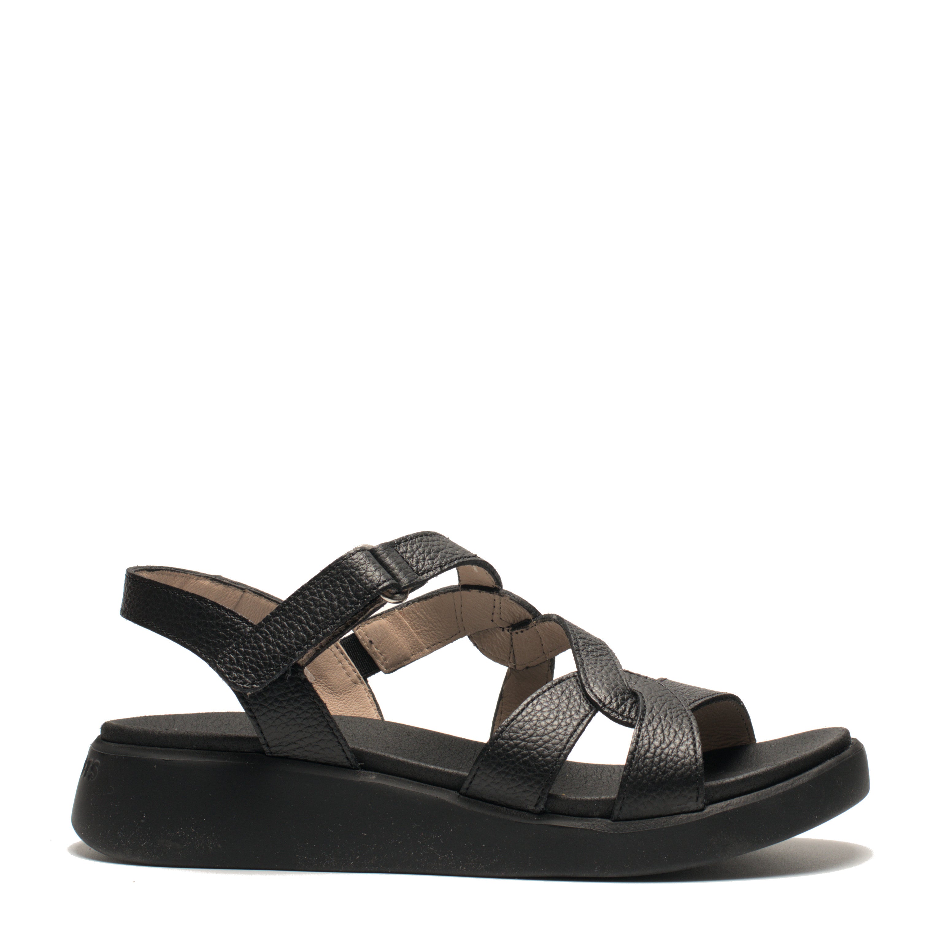Sandalo S.Eva Wonders C6541