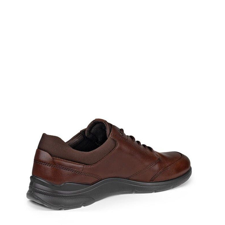 Scarpa Lacci Suola Gomma Ecco 511734