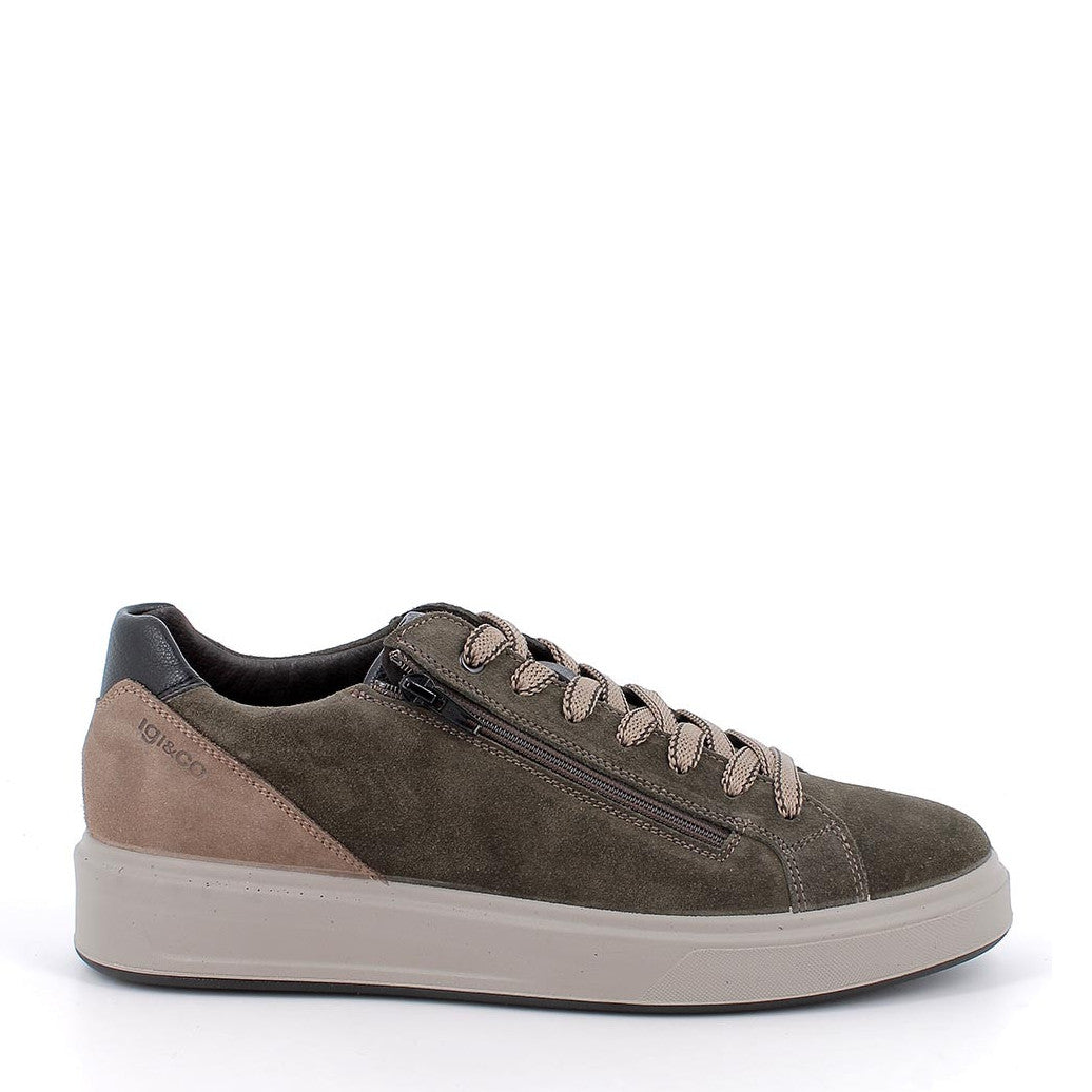 Scarpa Lacci + Zip S.Gomma Igi & Co 86364/C