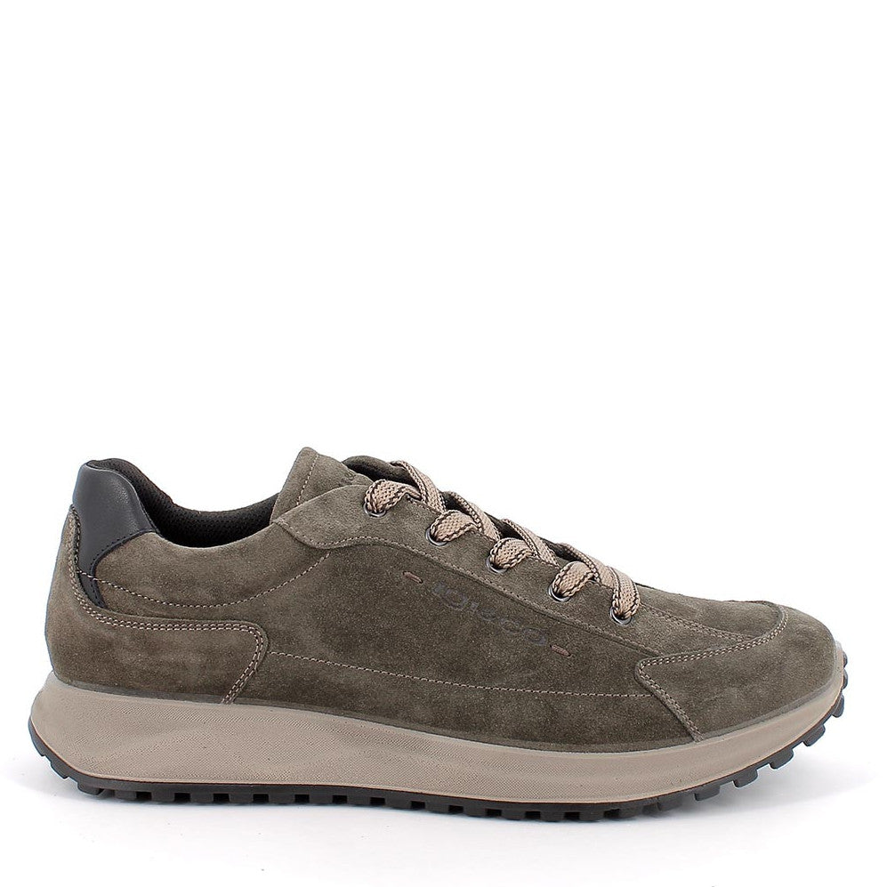 Scarpa Lacci S.Gomma Igi & Co 86390