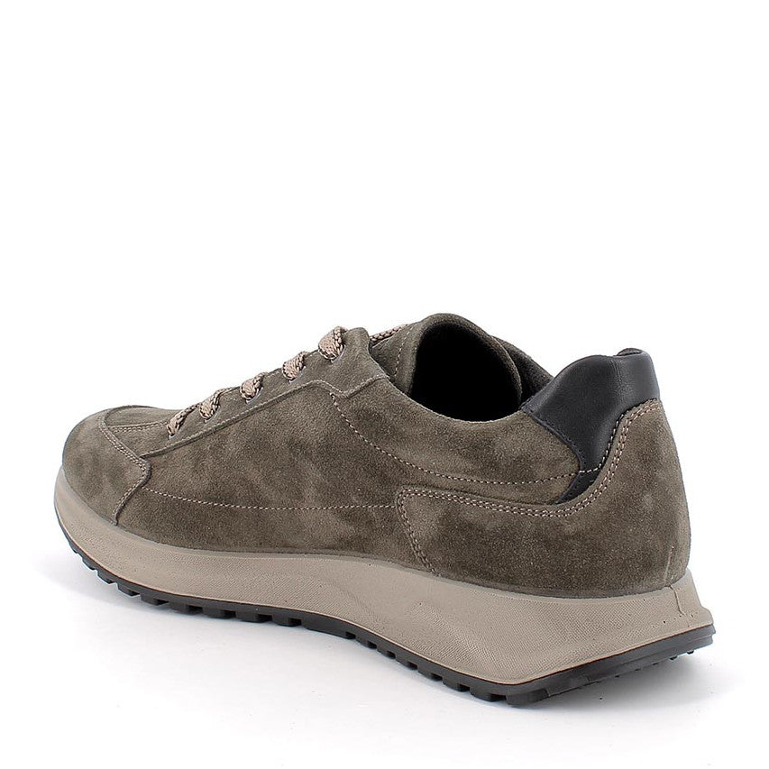 Scarpa Lacci S.Gomma Igi & Co 86390