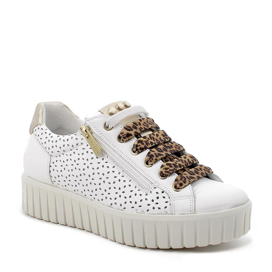 Scarpa Lacci + Zip S.Gomma Igi & Co 11457