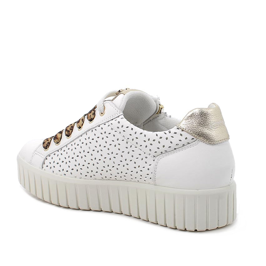 Scarpa Lacci + Zip S.Gomma Igi & Co 11457