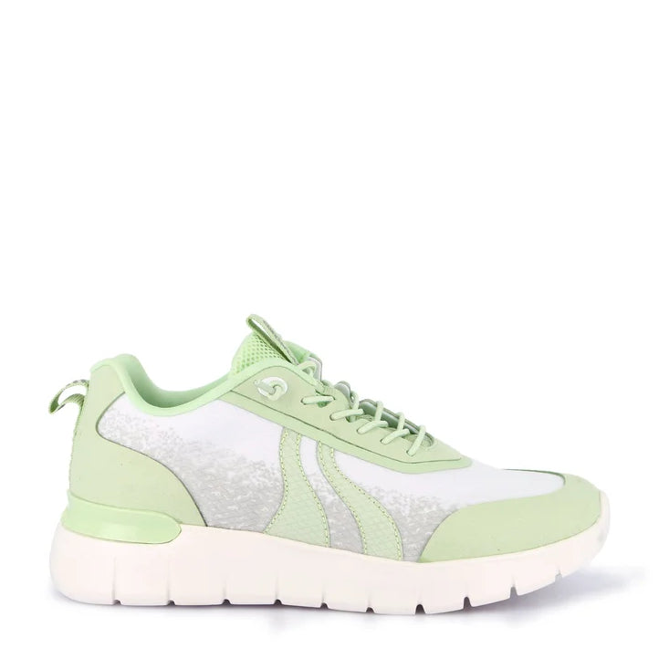 Sneakers Lacci S.Eva Grunland SC6205