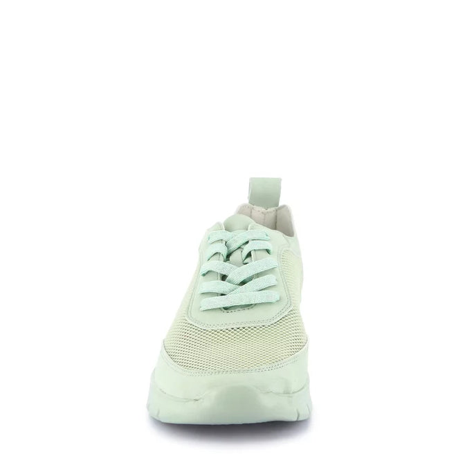 Sneakers Lacci S.Eva Grunland SC6293