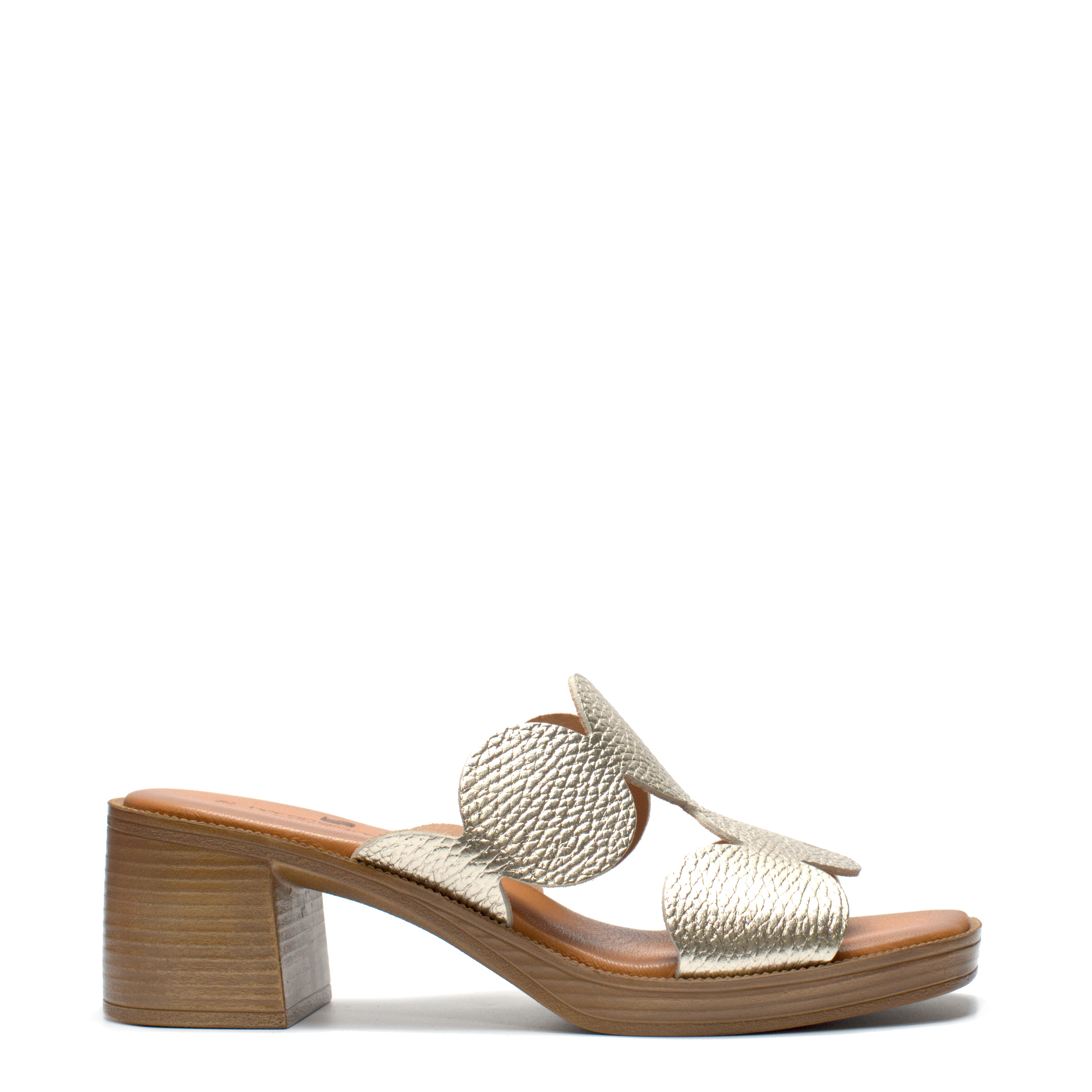 Sabot Plateau T. 50 Borgo Giannotti NP228