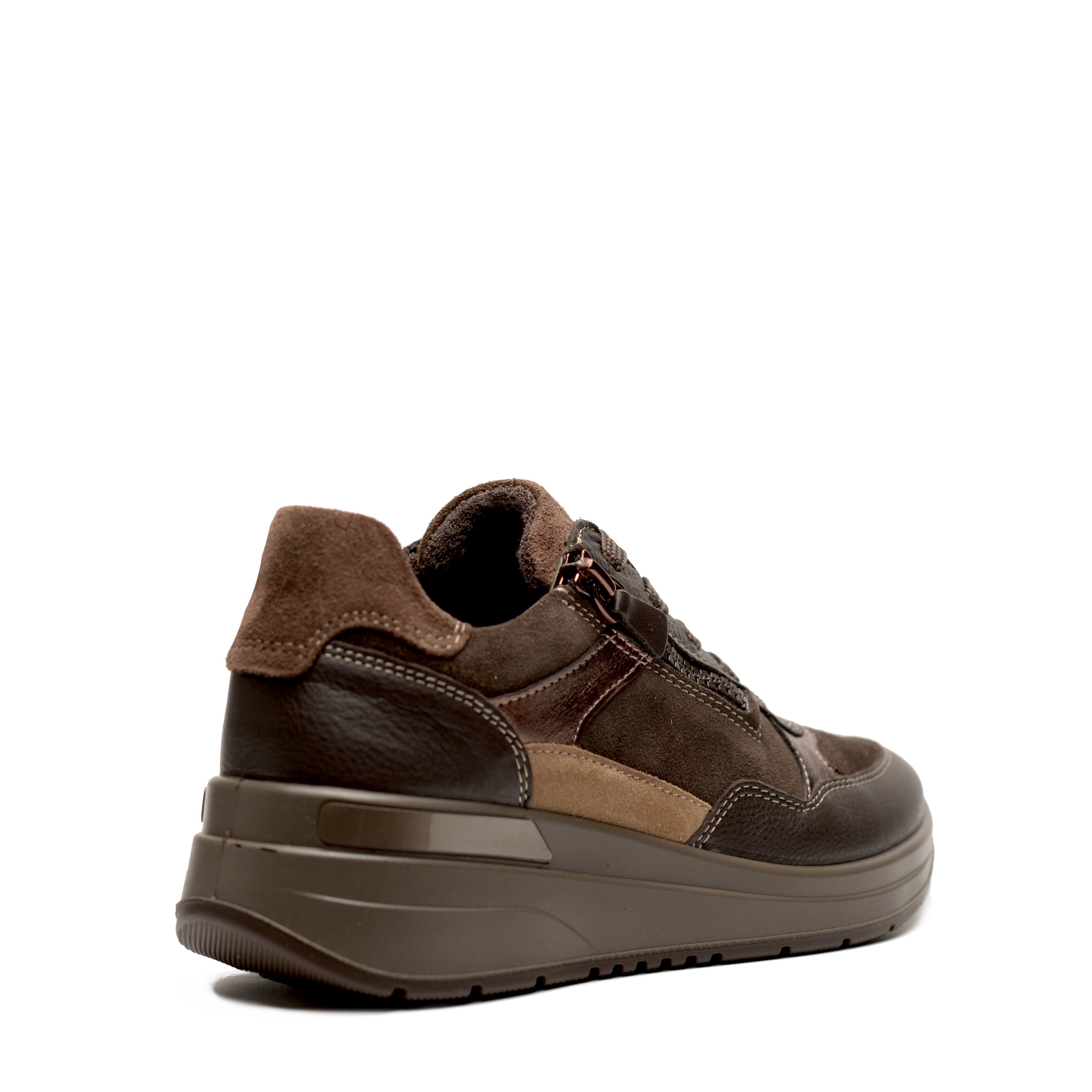 Scarpa Lacci +Zip Ara 57702
