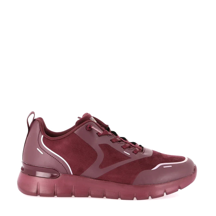 Scarpa Lacci S.Gomma Grunland SC6347