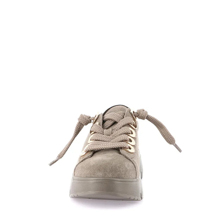 Scarpa Lacci S.Gomma Grunland SC6339