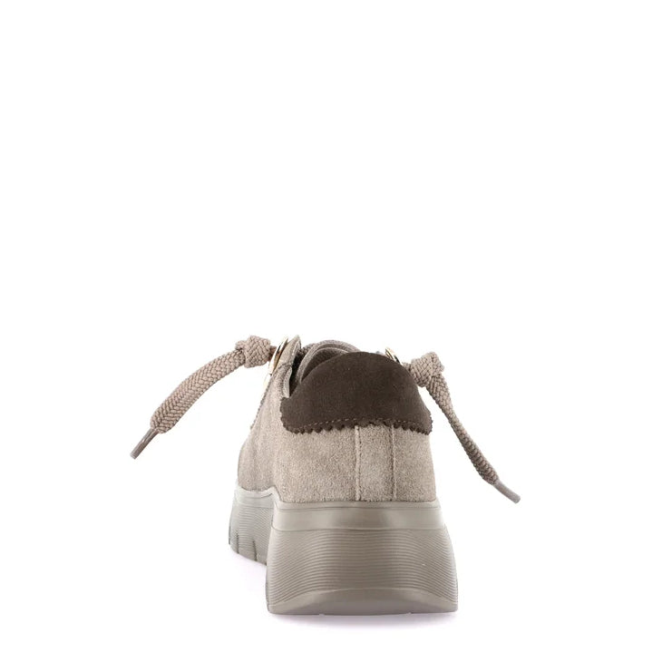 Scarpa Lacci S.Gomma Grunland SC6339