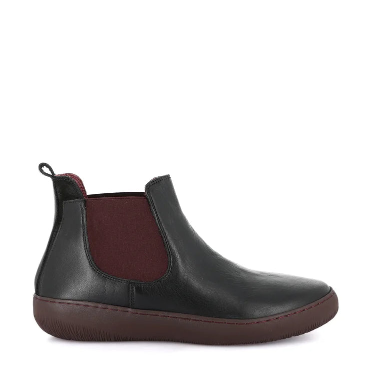 Polacco Con Elastici Grunland PO1854