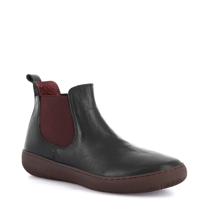Polacco Con Elastici Grunland PO1854