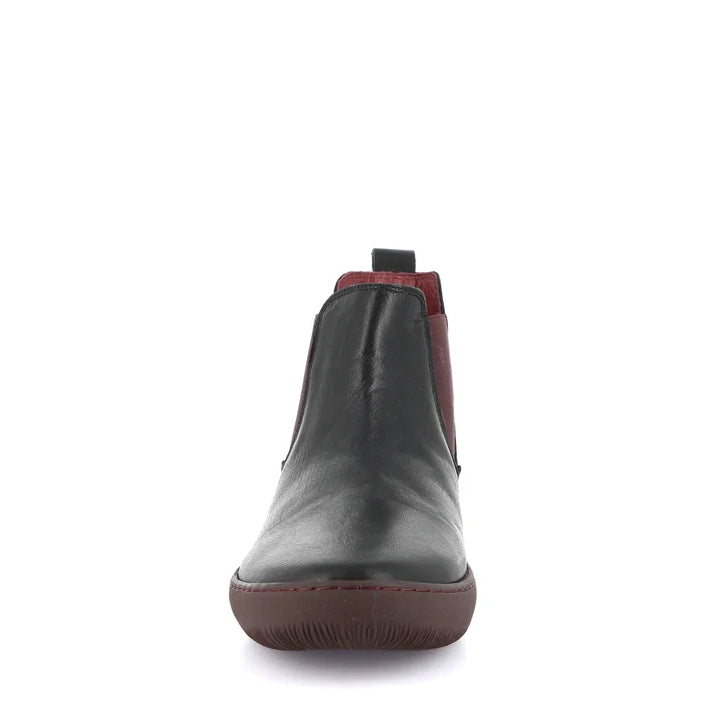 Polacco Con Elastici Grunland PO1854