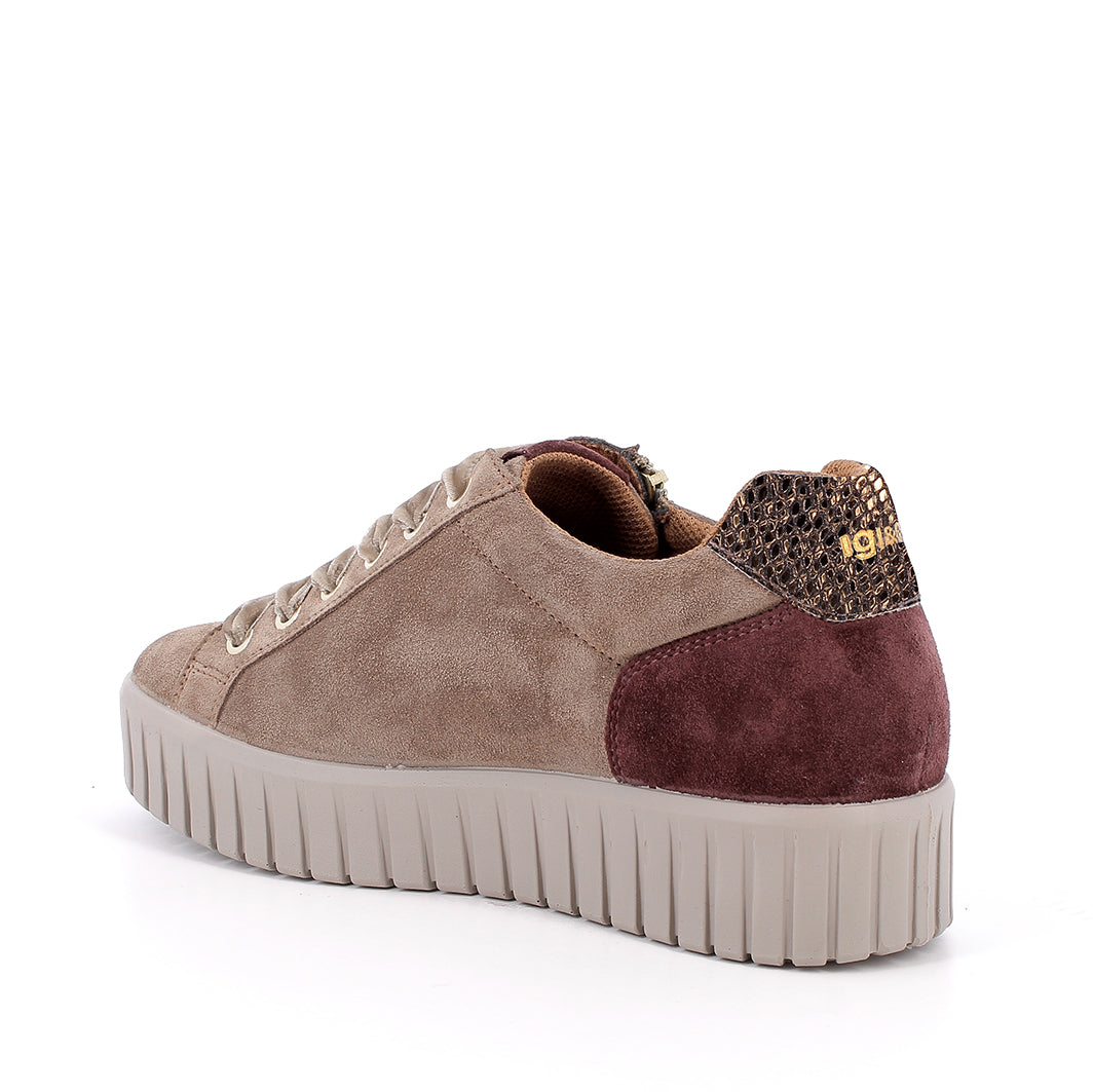 Scarpa Lacci + Zip S.Gomma Igi & Co 21568 CAMOSCIO