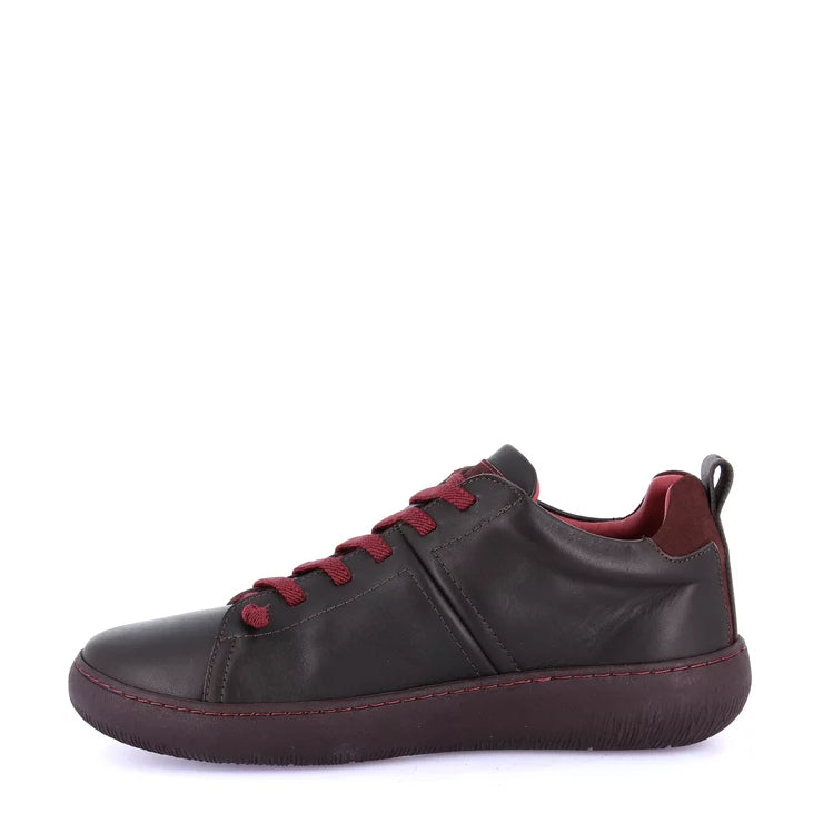 Scarpa Con Lacci Elastici Grunland SC4644