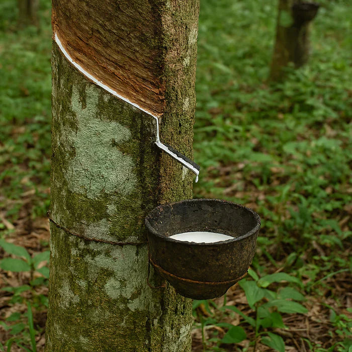 La suola in para con che cosa è fatta ?