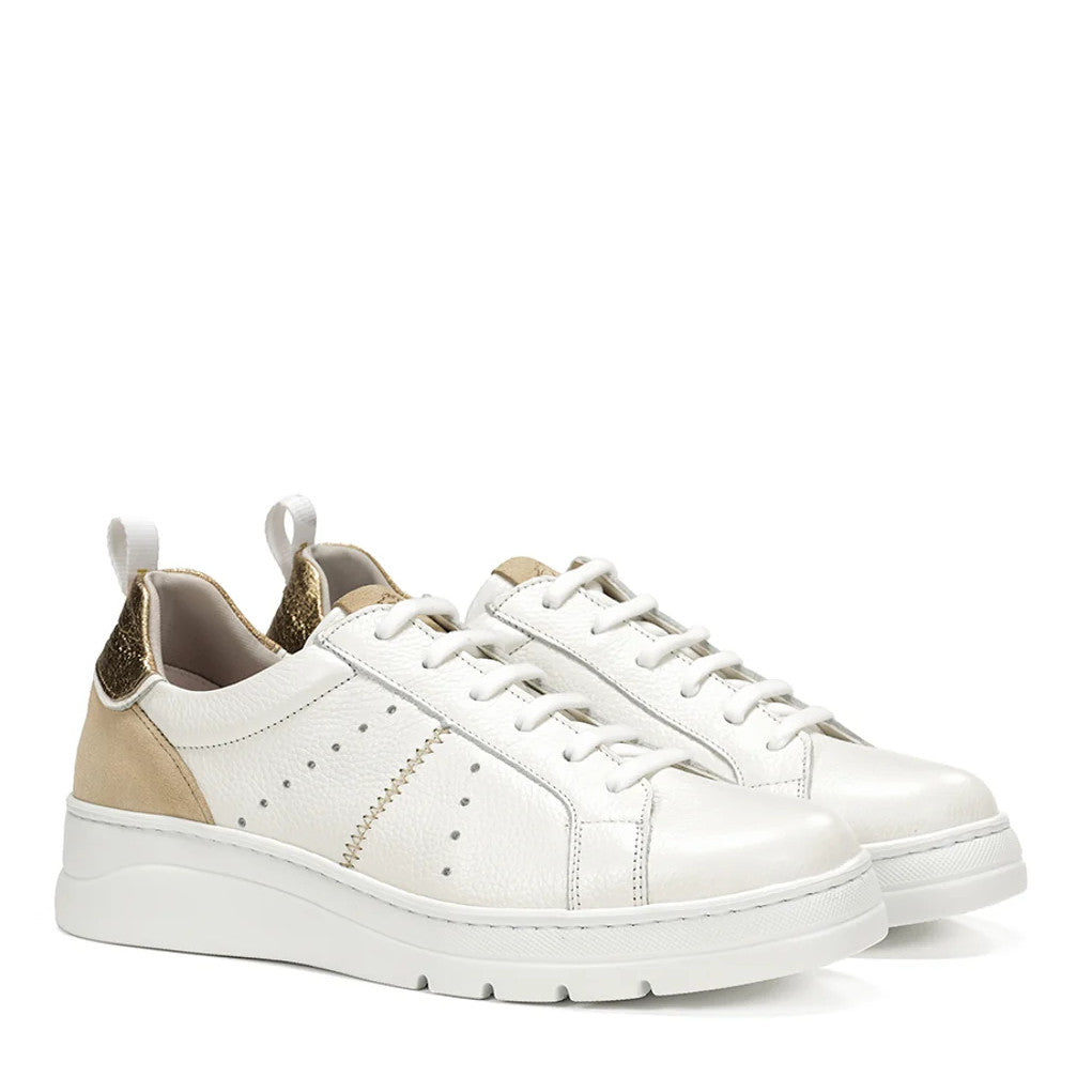 Sneacker Lacci S.Gomma Fluchos F1665