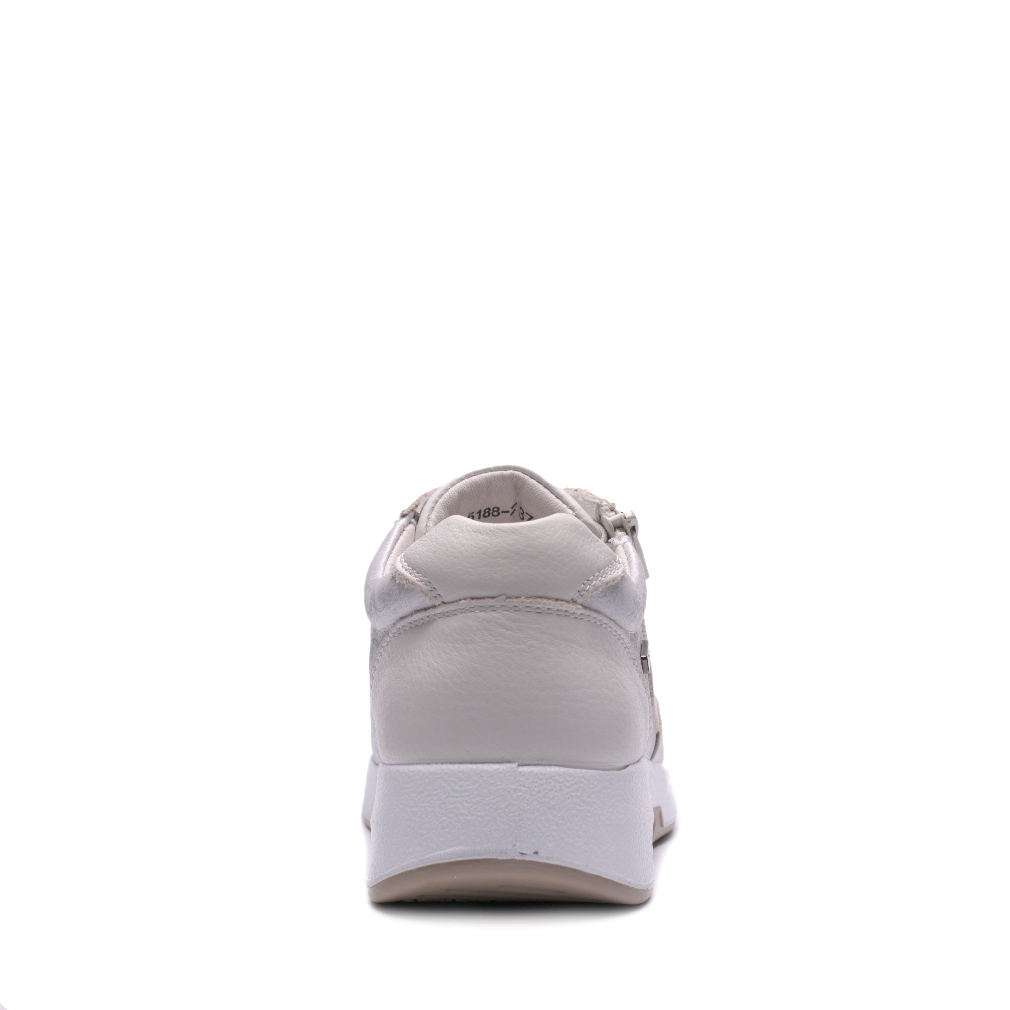 Scarpa Lacci S. Estraibile G-Comfort 5188