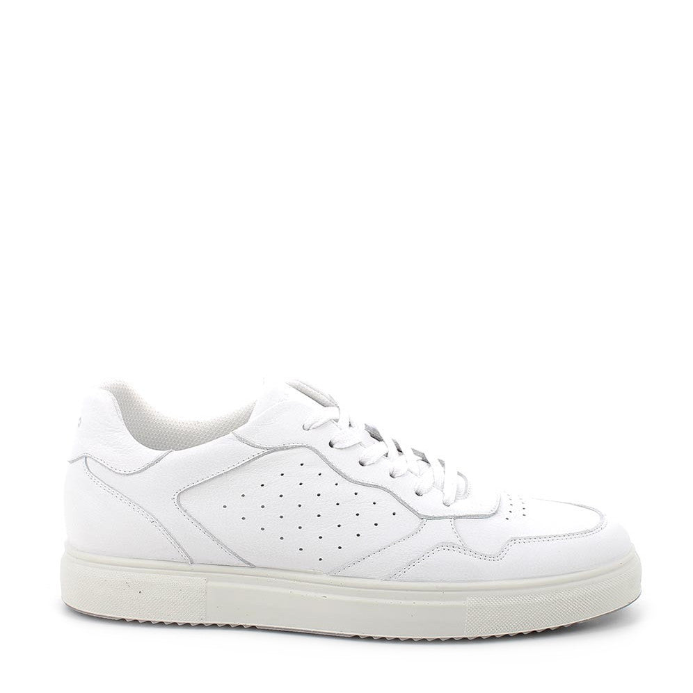 Sneaker Lacci S.Gomma Igi & Co  76271