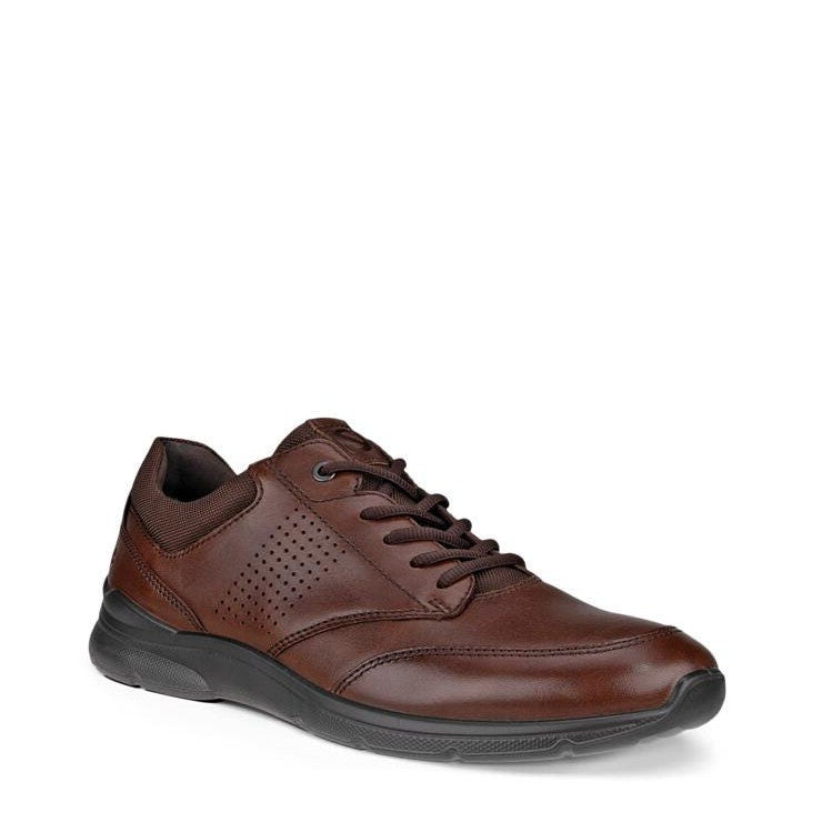Scarpa Lacci Suola Gomma Ecco  511734