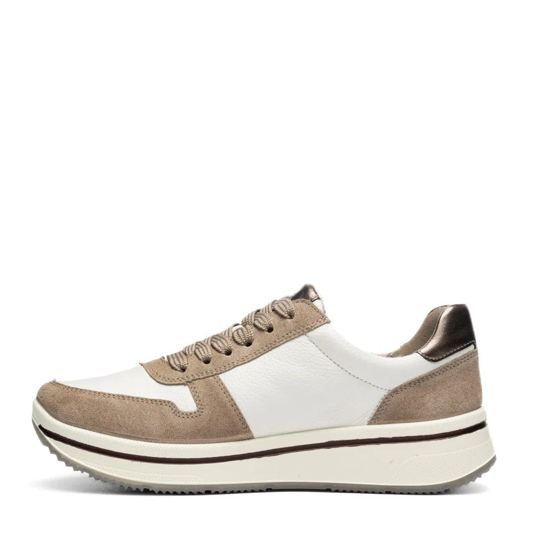 Scarpa Lacci +Zip Ara  27540