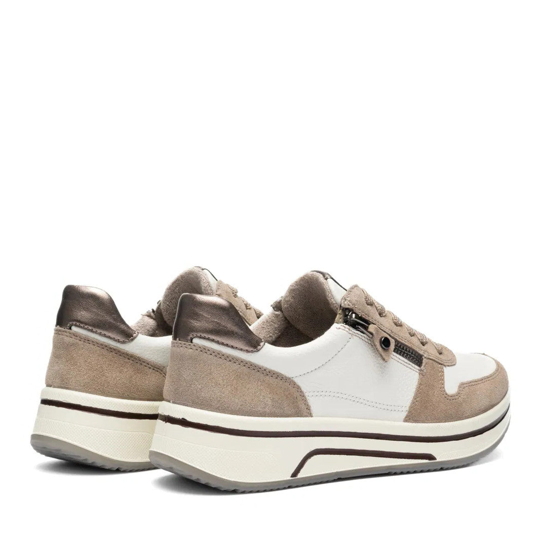 Scarpa Lacci +Zip Ara  27540