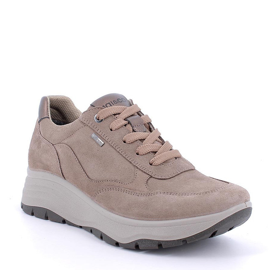 Scarpa Lacci Gore-Tex° Igi & Co  86570/C