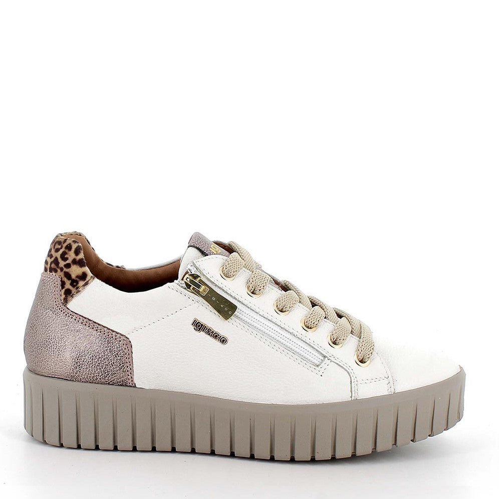 Scarpa Lacci + Zip S.Gomma Igi & Co  86801