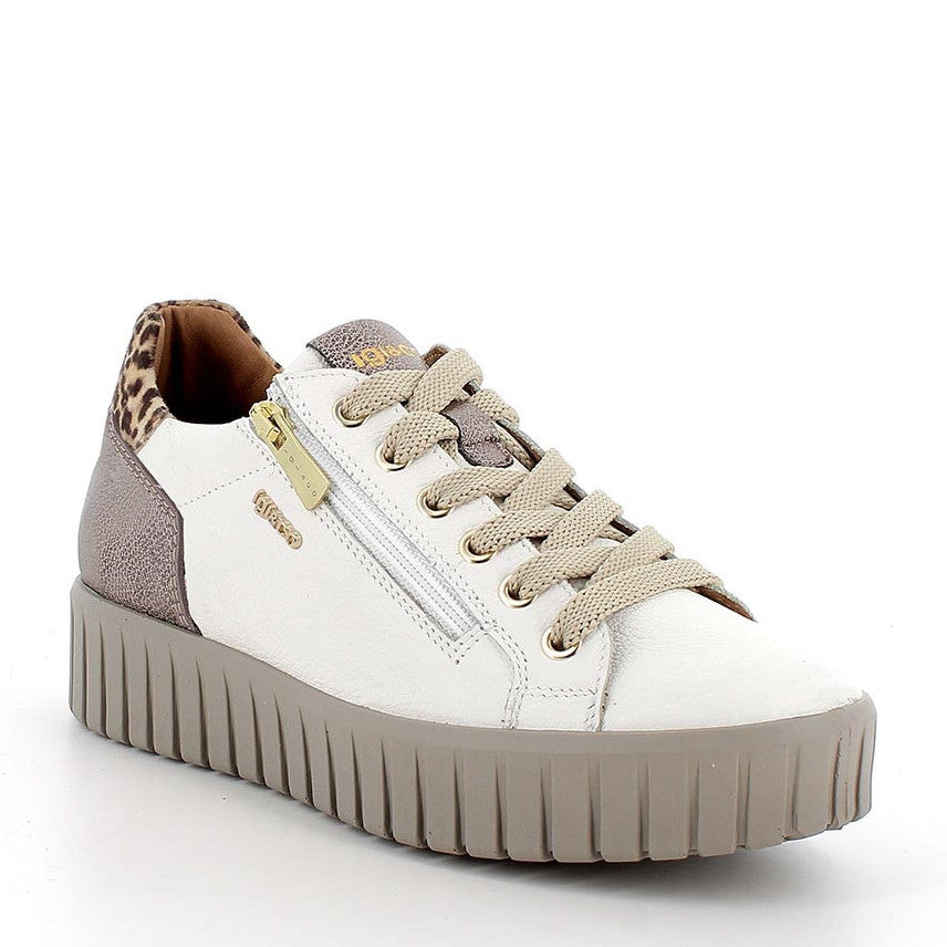 Scarpa Lacci + Zip S.Gomma Igi & Co  86801