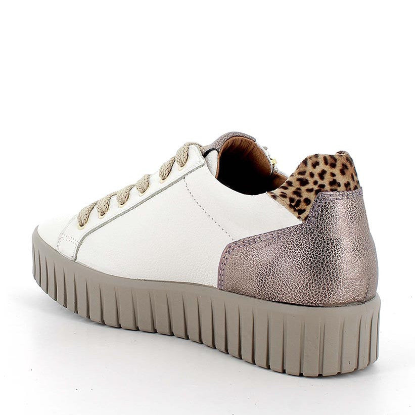 Scarpa Lacci + Zip S.Gomma Igi & Co  86801