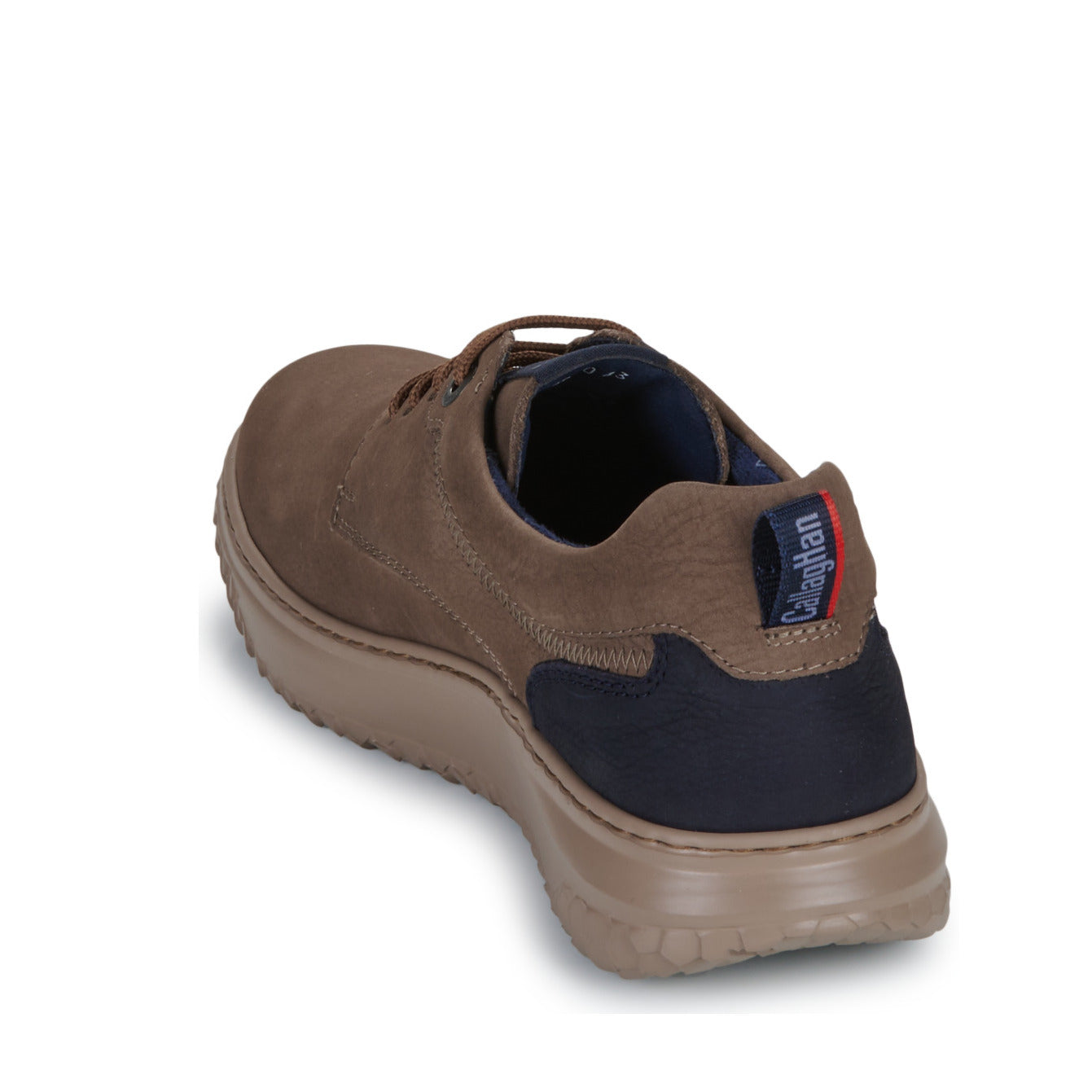 Scarpa Allacciata Callaghan  60800