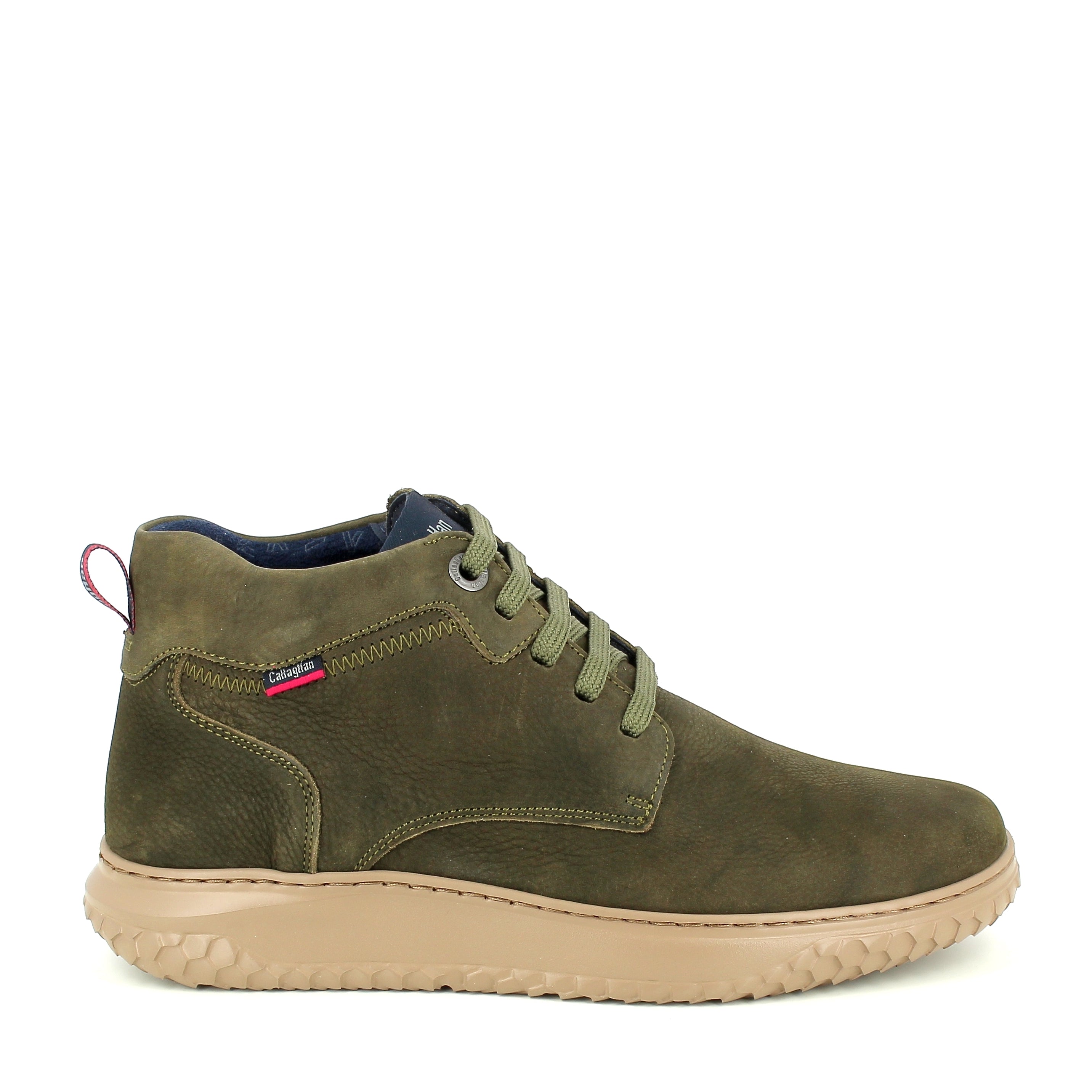 Polacco Allacciato Callaghan  60803