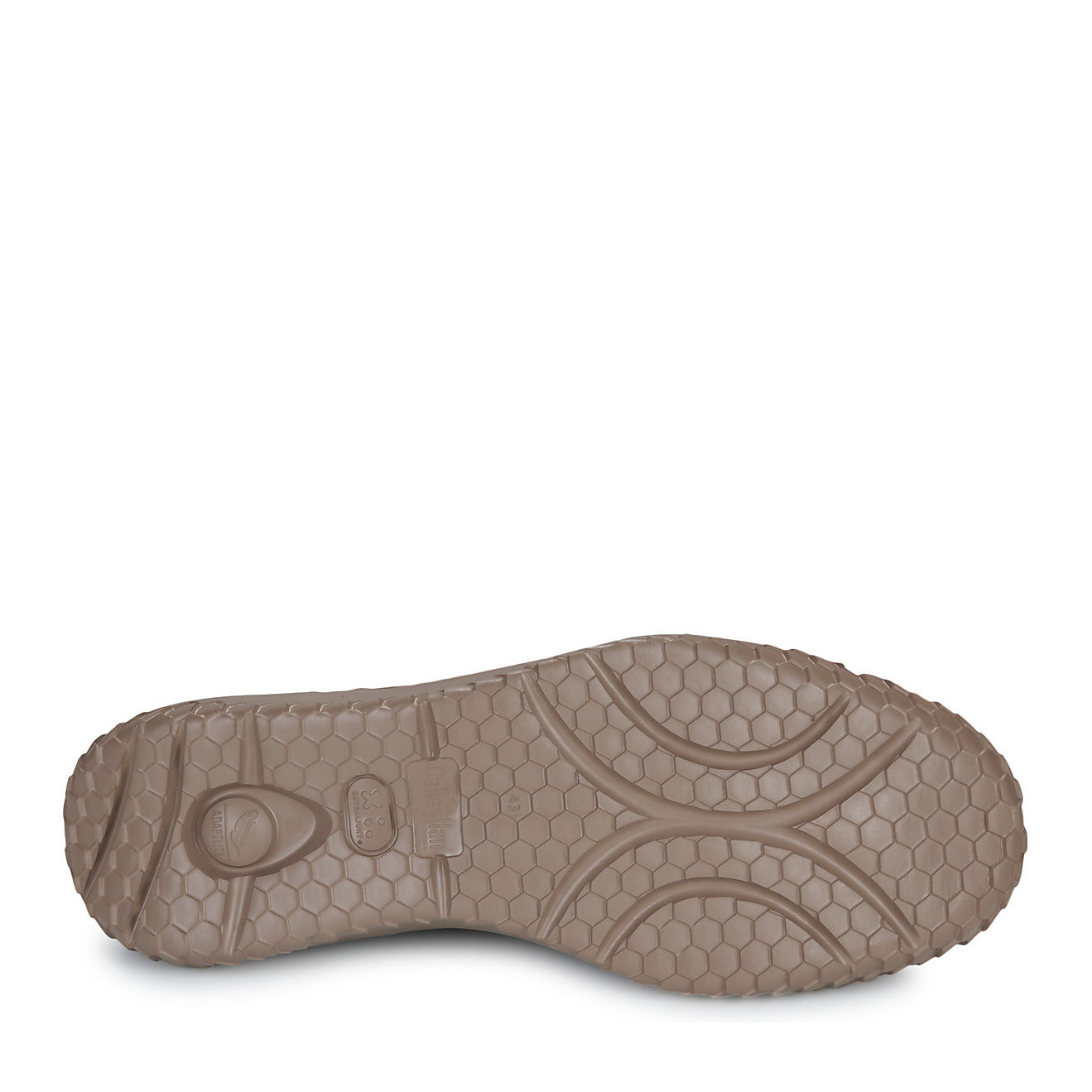 Polacco Allacciato Callaghan  60803