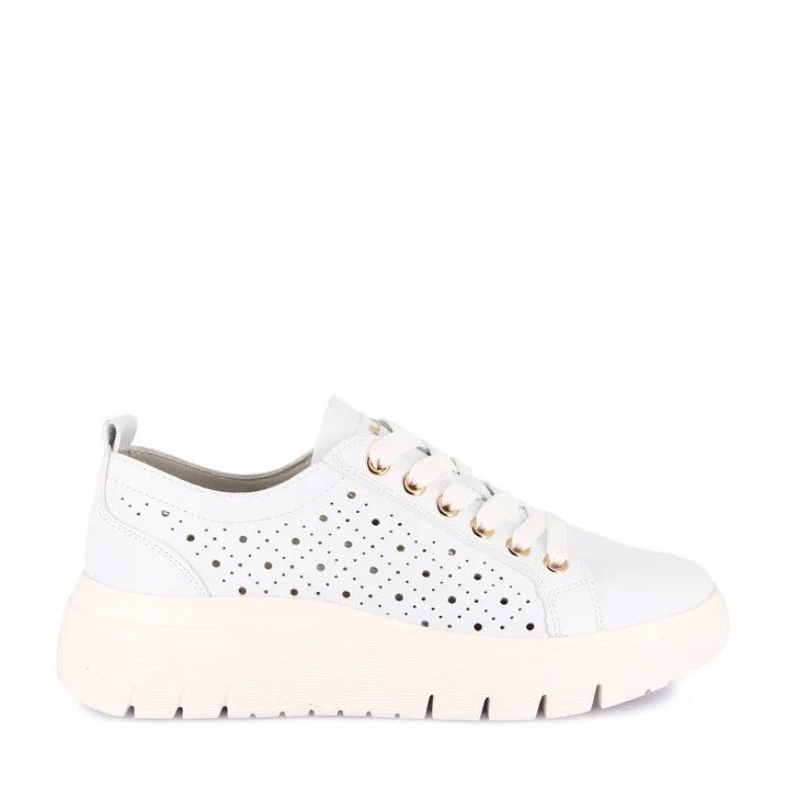 Scarpa Lacci  + Soletta Estraibile Grunland  SC6180