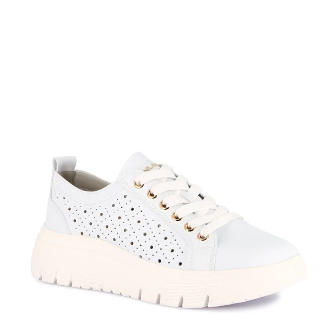 Scarpa Lacci  + Soletta Estraibile Grunland  SC6180