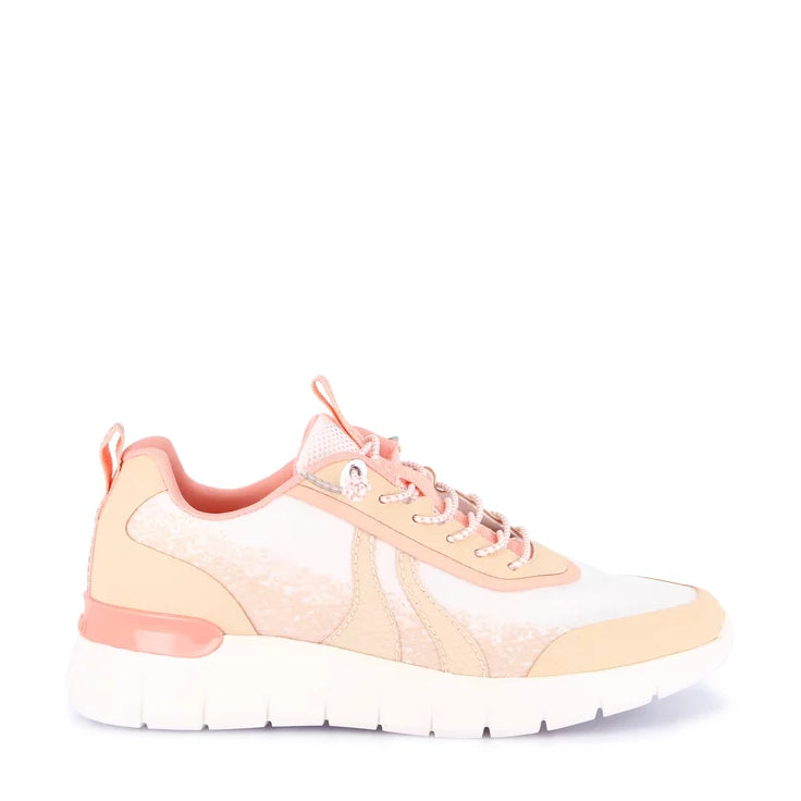 Sneakers Lacci S.Eva Grunland  SC6205