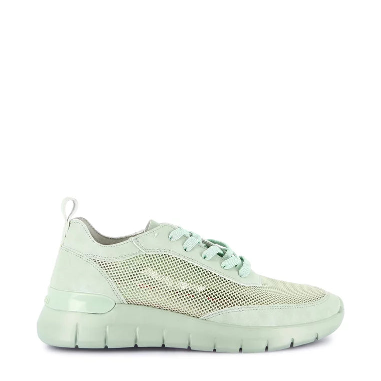 Sneakers Lacci S.Eva Grunland  SC6293