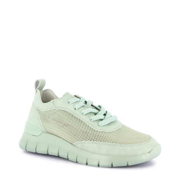 Sneakers Lacci S.Eva Grunland  SC6293