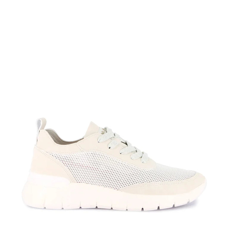 Sneakers Lacci S.Eva Grunland  SC6293