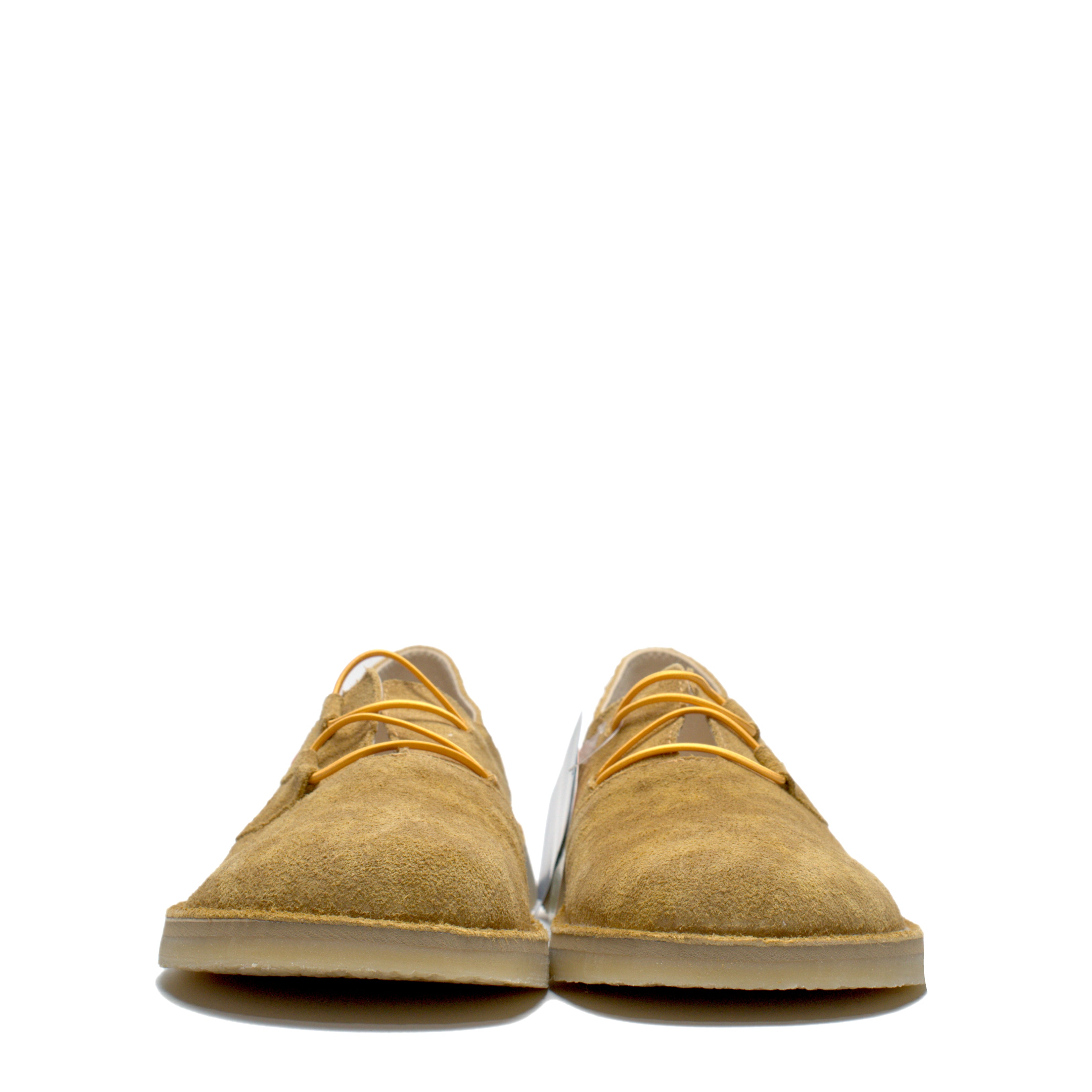 Scarpa Con Elastici Jungla  8486