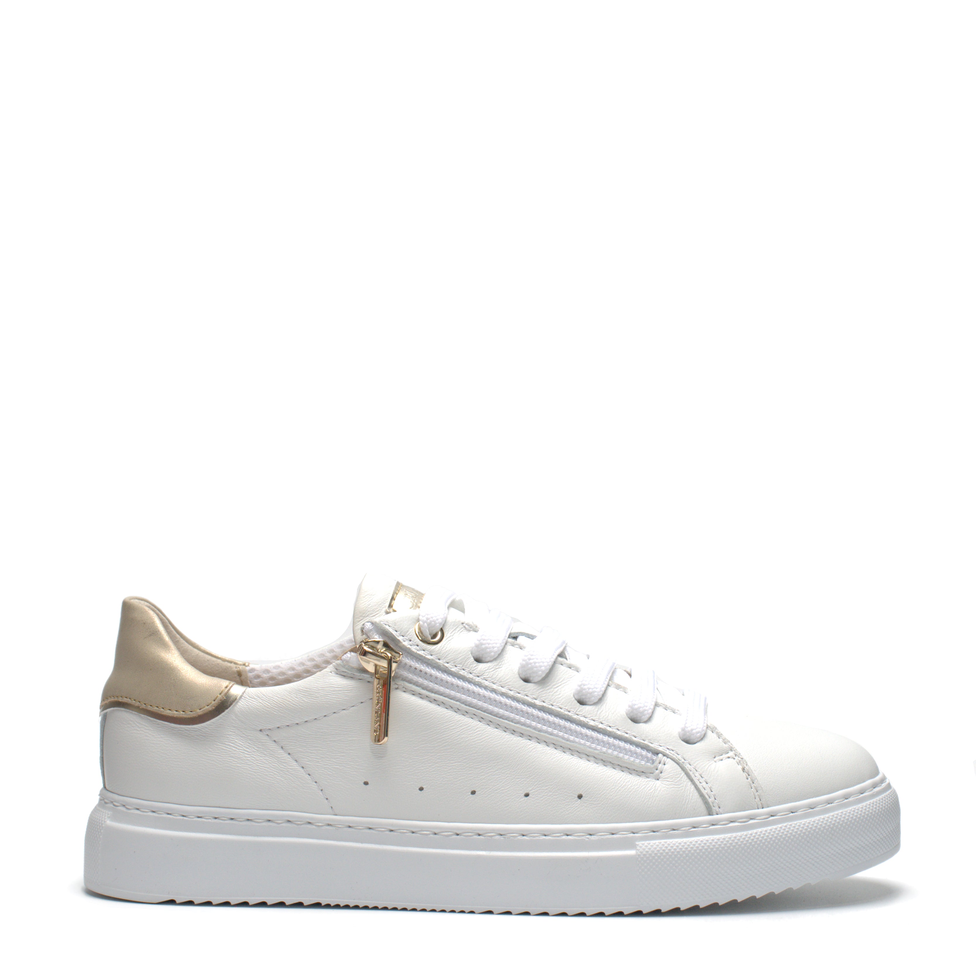 Scarpa Lacci + Zip E Soletta Estraibile Grunland  SC6207