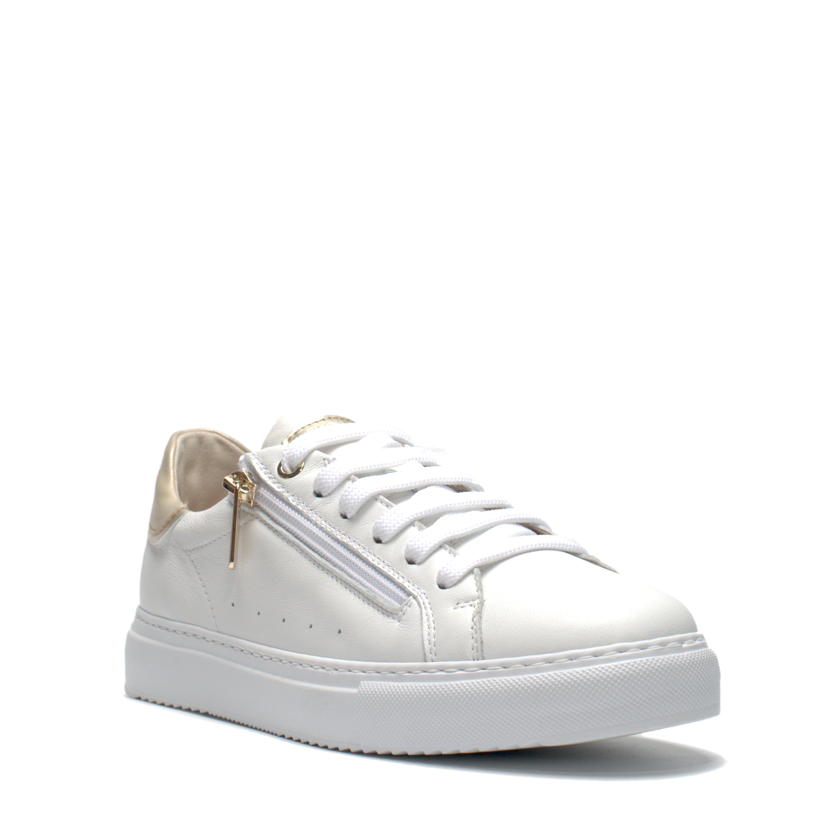 Scarpa Lacci + Zip E Soletta Estraibile Grunland  SC6207